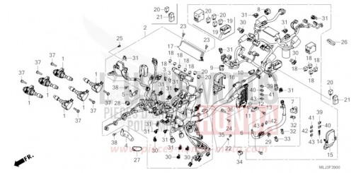 FAISCEAU DES FILS GL1800DAP de 2023